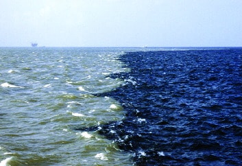 A plume of freshwater enriched in nutrients and sediments enters the Gulf of Mexico from the Mississippi River.